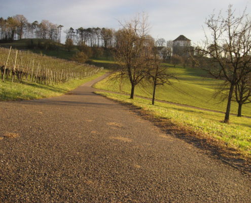 Schlosshalde