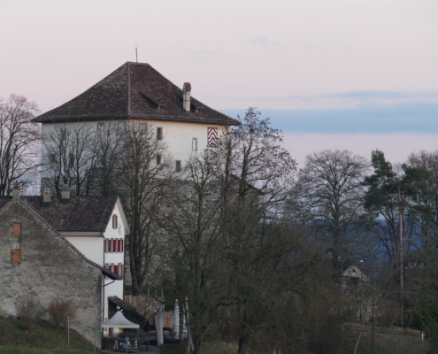 Schlosshalde