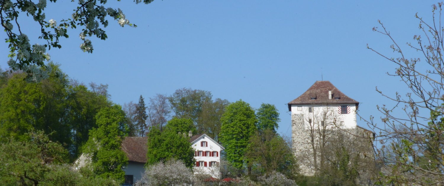 Schlosshalde