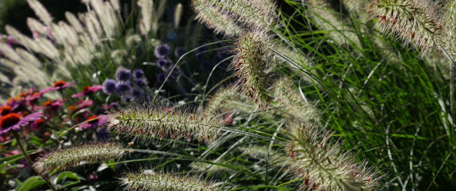 Naturnahe Gartenpflege, Grünform Schlosshalde