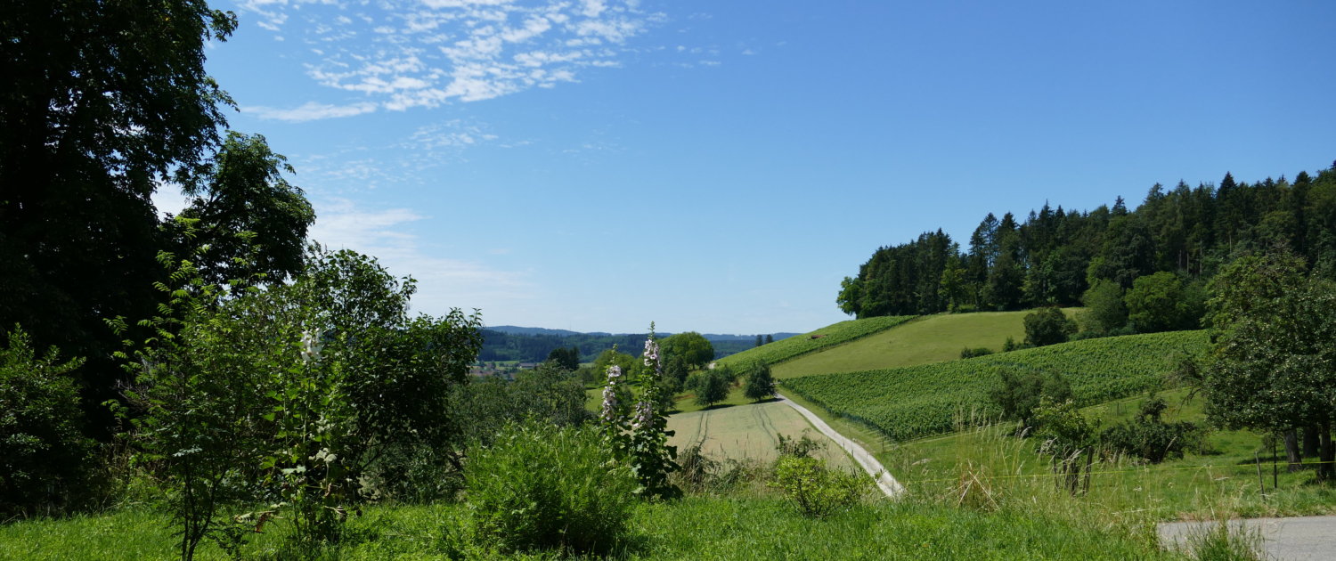 P1110046